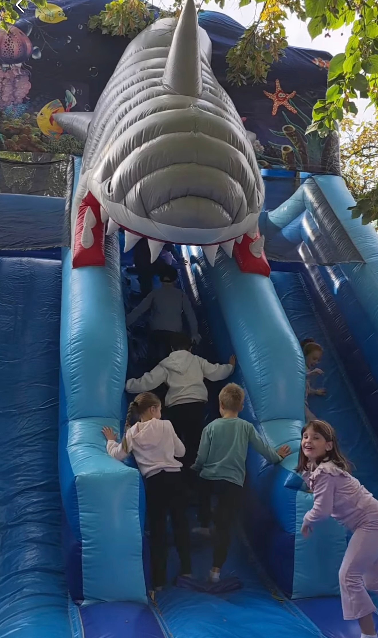 Klop
